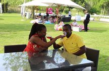 Private Wine tasting Cape Town Wineries Stellenbosch Franschoek Paarl full Day