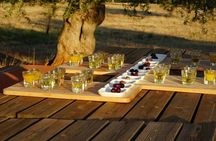 Olive Oil Tasting at the Mykonian Farm