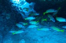 Private Snorkel Excursions in Lahaina, Maui 