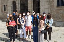 Segovia and Avila Guided Tour and Flamenco Show in Madrid