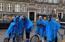 Biking tour -Copenhagen Small Group, max 10 people 