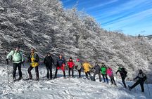 Experience Snowshoeing in Olympic Mountain Bjelašnica
