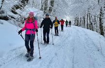 Experience Snowshoeing in Olympic Mountain Bjelašnica