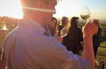 Half-Day Minardi Wine and Food Tour in Frascati