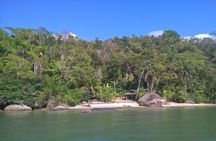 Kayaking Mangroves tour