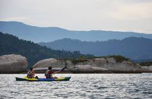 Kayaking Mangroves tour