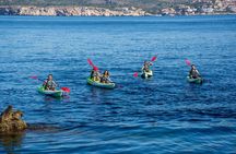Kayak Tour to Malgrat's Islands from Santa Ponsa