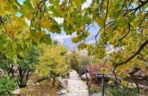 Nakhal Hotspring and Wakan Village Private Full Day Tour
