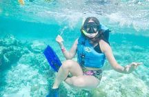 Cancun Mangroves Tour with Shared Speed Boats Ride and Snorkelling