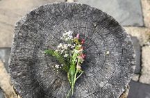 Guided Shared Group Forest Bathing Session in Serene Woodland Park
