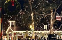 Nights of Lights Private Golf Cart Tour for up to 5 people!