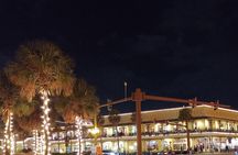 Nights of Lights Private Golf Cart Tour for up to 5 people!