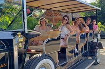 All-inclusive Cenotes tour
