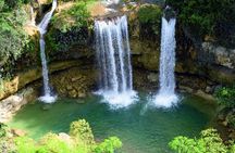 Tour with Whale Watching in Samaná, Beach and Waterfall