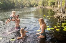 Chasing Waterfalls - Byron Shire