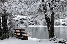 5-Hour National Park + City tour - USHUAIA (Private Tour)