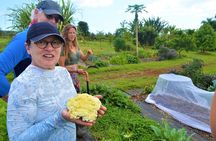 Farm to Table Cooking Class at Kulaniapia Falls