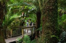Private Two Day Great Ocean Road Tour