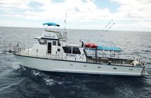 3-Hour Honolulu Bottom Fishing Adventure 