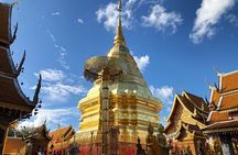 One Day Tour Doi Suthep Temple, Palad Temple, Orchid Farm, Longneck hill tribe village (Private tour)