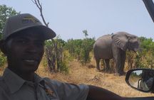 Hwange National Park Full Day Trip
