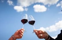 Tour Tasting & platter at an Organic Winery - Panzano in Chianti