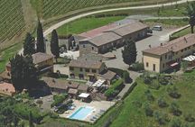 Tour Tasting & platter at an Organic Winery - Panzano in Chianti