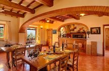 Tour Tasting & platter at an Organic Winery - Panzano in Chianti