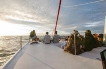 Catamaran Sunset Champagne Cruise Cape Town