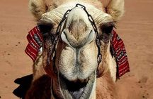 4 Days 3 Nights Package Oman Private Tour