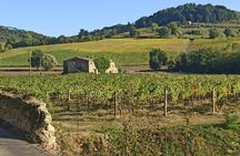 PRIVATE TOUR: Chianti Afternoon tour with visit to 2 wine farms