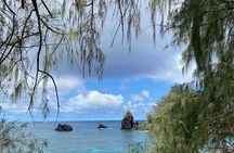Private Surf Lessons in Lahaina, Maui