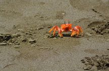 Full Day Isla Salango Snorkeling and Seabird Tour from Guayaquil