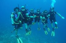 Half Day Diving adventure with Transportation Included
