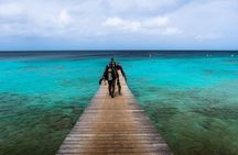 Half Day Diving adventure with Transportation Included