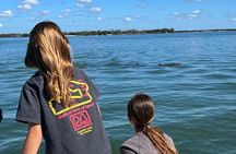 Best of Marco Island Dolphin Tour