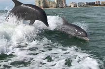 Best of Marco Island Dolphin Tour