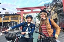 São Paulo Bike Tour: Avenida Paulista and Historic Downtown