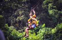Zipline & Coffee with Waterfall Views in Koh Samui