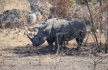 Pilanesberg National Park Safari, BIG 5 Full Day