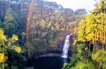Farm to Table Cooking Class at Kulaniapia Falls