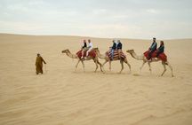 Desert Safari, Quad Biking, Sand Surfing and BBQ Dinner In Dubai