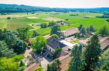 Exceptional visit and tasting of 7 wines