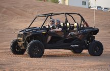 4-Hour Morning Safari with 60-Minute Buggy