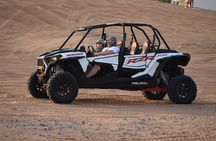 4-Hour Morning Safari with 60-Minute Buggy