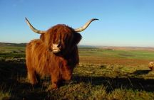 Inverness, Loch Ness and Urquhart Castle Full Day Tour
