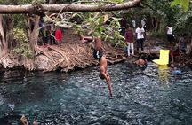Materuni Waterfalls, Coffee Tour and Hot Springs