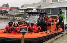 Private Zodiac Whale Watching Tour from Victoria