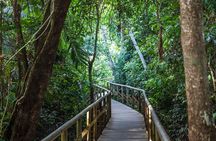 Private Manuel Antonio National Park Guided Walk