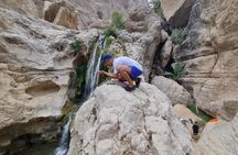 Private Full-Day Wadi Tiwi and Bimmah Sinkhole Tour from Muscat